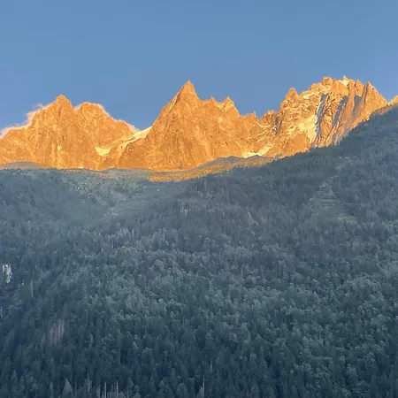 公寓 Magnifique Plein Centre Vue Panoramique 霞慕尼